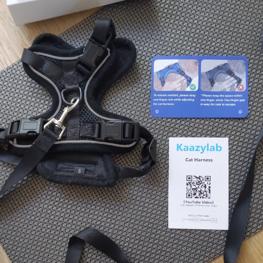 Black Cat Harness With Leash